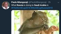 Rusia yang menang telak atas Arab Saudi ibarat seekor monyet mencabuti bulu ayam hingga gundul. (Foto: Twitter @PauloMtangazaji)