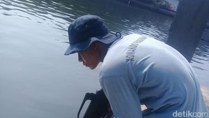 Saat Pasukan Katak Buru Buaya di Tanjung Priok