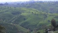 Warga Jabar Ayo Nyoblos! Habis Itu Wisata ke Cukul Sunrise Point
