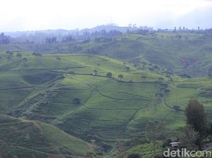 Warga Jabar Ayo Nyoblos! Habis Itu Wisata ke Cukul Sunrise Point