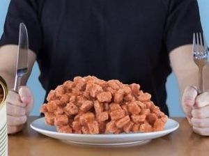 Produsen Makanan Anjing Ini Bikin Makanan Manusia Persis Makanan Anjing