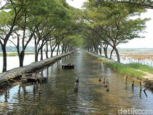 Foto: Saluran Irigasi Sejuk dan Instagramable di Kendal