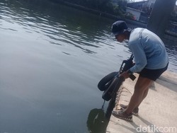 Sempat Ditembak Kopaska, Buaya di Tanjung Priok Tak Muncul Lagi