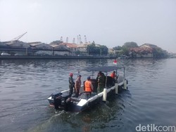 Belum Ditemukan, Pencarian Buaya di Tanjung Priok Dibagi Per Sektor