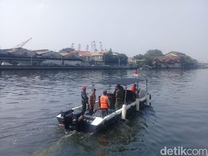 Belum Ditemukan, Pencarian Buaya di Tanjung Priok Dibagi Per Sektor Belum Ditemukan, Pencarian Buaya di Tanjung Priok Dibagi Per Sektor