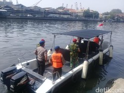 TNI AL: Buaya di Tj Priok Jenis Muara, Tak ke Laut Lepas