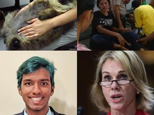 Berita Heboh: Buaya di Priok Muncul Lagi, Mahasiswa Harvard Tewas