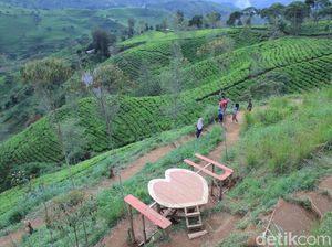 Cukul Sunrise Point, Spot Sunrise Baru di Bandung