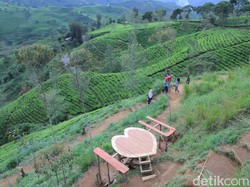 Rekomendasi Wisata di Pangalengan untuk Berlibur di Akhir Pekan