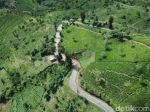 Foto Drone: Cukul Sunrise Point, Tempat Wisata Baru di Bandung
