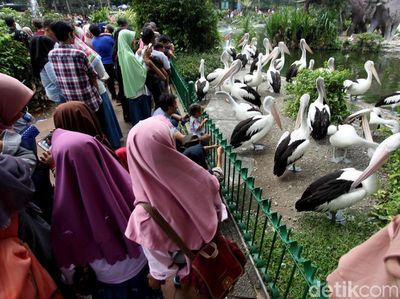 Libur Lebaran, Kebun Binatang Ragunan Dipadati Pengunjung