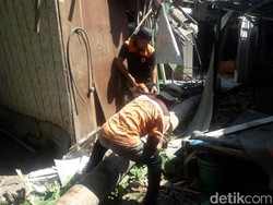 Berlebaran, Dua rumah di Situbondo Rusak Tertimpa Pohon Tumbang