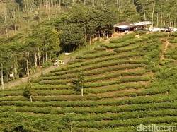 Prakiraan Cuaca DIY Hari Ini: Hujan Lebat di Perbukitan Menoreh