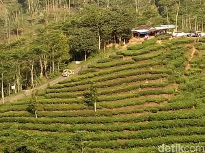 Begini Kalau Swasta Turun Tangan Benahi Aliran Sunga dari Kerusakan Begini Kalau Swasta Turun Tangan Benahi Aliran Sunga dari Kerusakan