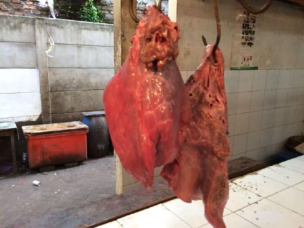 Harga Daging Sapi di Atas Rp 120 Ribu/Kg, Ini Kata Kementan Harga Daging Sapi di Atas Rp 120 Ribu/Kg, Ini Kata Kementan