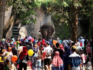 Libur Pilkada, Warga DKI Gratis ke Ragunan, Museum hingga Ancol