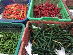 Kementan Pastikan Pasokan dan Harga Pangan di Jateng Terkendali