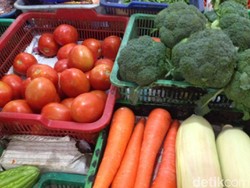 Hingga Akhir Tahun Kementan Targetkan Ekspor Hortikultura Rp 2,23 M