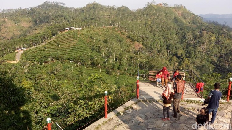 Suasana objek wisata kebun teh di Nglinggo, Desa Pagerharjo, Kecamatan Samigaluh, Kulon Progo. (Eko Susanto/detikTravel) Suasana objek wisata kebun teh di Nglinggo, Desa Pagerharjo, Kecamatan Samigaluh, Kulon Progo. (Eko Susanto/detikTravel)