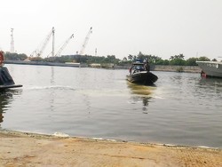 Pencarian Buaya di Priok Dilakukan hingga 7 Hari ke Depan