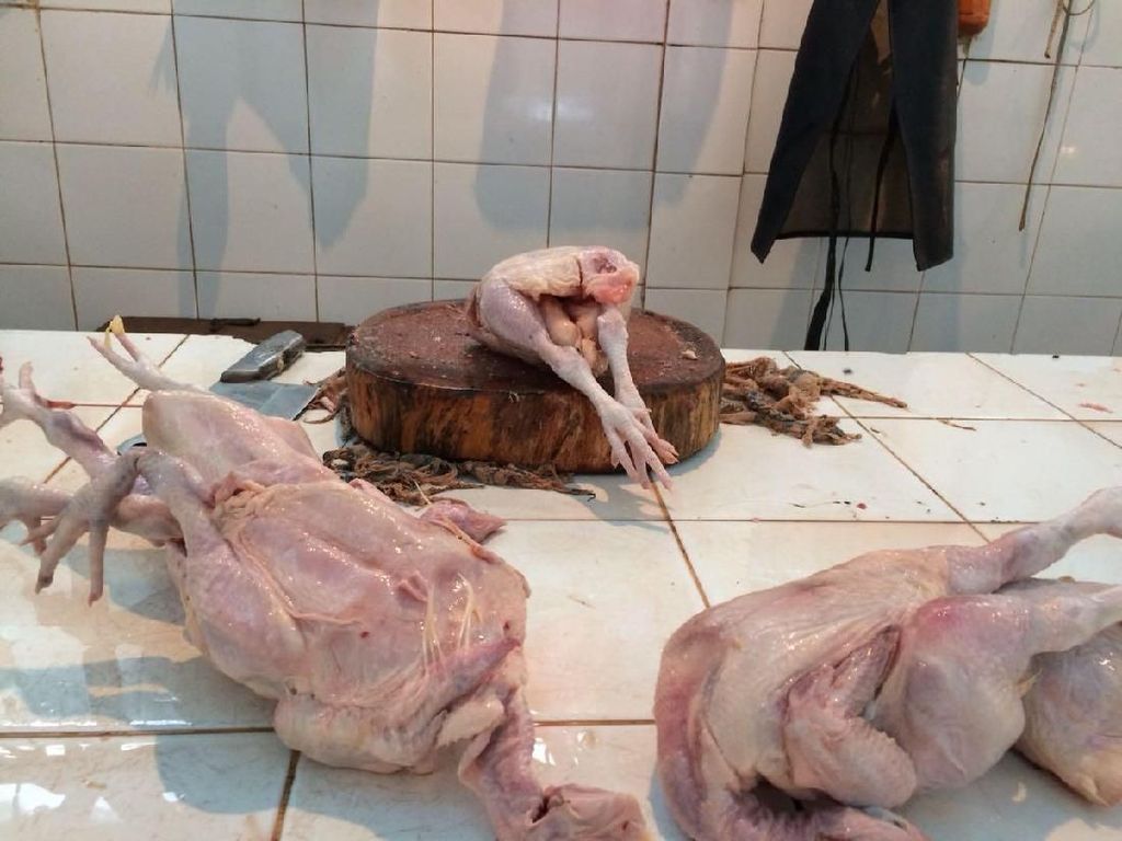 Belum Turun, Daging Ayam Masih Dijual Rp 45.000/Ekor Belum Turun, Daging Ayam Masih Dijual Rp 45.000/Ekor
