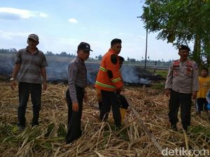 Lahan Tebu Dekat Pemukiman Terbakar, Warga Sempat Panik