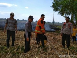 Lahan Tebu Dekat Pemukiman Terbakar, Warga Sempat Panik