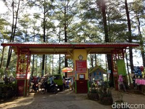 PPKM Level 3, Seluruh Wisata Alam di Malino Gowa Tutup hingga 2 Agustus