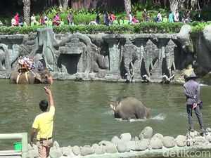 10 Wisata Edukasi di Bali yang Menyenangkan