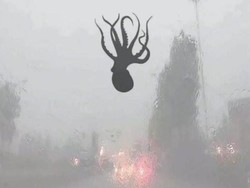 Unik Tapi Nyata, di China Ada Fenomena Hujan Seafood Segar