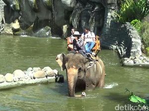 5 Tempat Wisata Konservasi di Bali untuk Libur Lebaran: Ada Bali Zoo-Kebun Raya 5 Tempat Wisata Konservasi di Bali untuk Libur Lebaran: Ada Bali Zoo-Kebun Raya