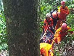 Mobil Terjun ke Jurang, Basarnas Gerak Cepat Selamatkan Korban