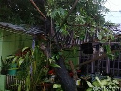 Puting Beliung Terjang Lima Daerah di Aceh