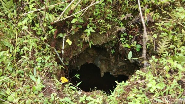 Foto: Penampakan Sarang Ular yang Makan Wanita Bulat-bulat di Sultra