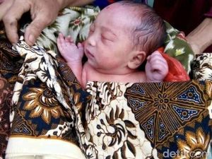Diduga Dibuang, Bayi Perempuan Ini Ditemukan Dikerubuti Semut