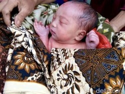 Diduga Dibuang, Bayi Perempuan Ini Ditemukan Dikerubuti Semut