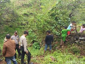 Diduga Masih Banyak Ular Berkeliaran di Lokasi Sanca Makan Wanita Diduga Masih Banyak Ular Berkeliaran di Lokasi Sanca Makan Wanita