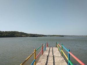 Foto: Sebelum Balik ke Jakarta, Main Dulu ke Waduk Cacaban Tegal Foto: Sebelum Balik ke Jakarta, Main Dulu ke Waduk Cacaban Tegal