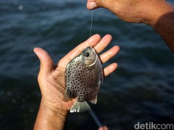 Hadiah Mobil Tak Diberikan, Panitia Lomba Mancing Dipolisikan