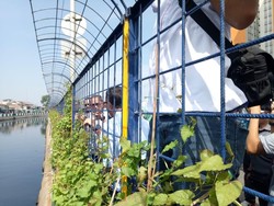 Pemprov DKI akan Pasang Alat Penjernih Air di Kali Item Kemayoran