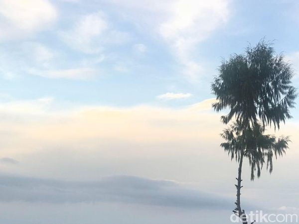 Foto: Melihat Awan dari Dekat di Tana Toraja