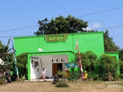 Sudah Tahu? Ada Museum di Geopark Ciletuh