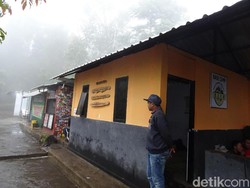 Pasca Kebakaran Hutan, Jalur Pendakian Gunung Lawu Kembali Dibuka