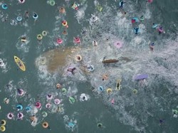 The Meg, Ketika Jason Statham Menghadapi Hiu Raksasa