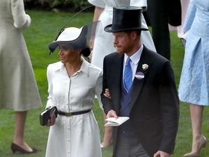 Pangeran Harry Cemburu Lihat Tangan Meghan Dicium Atlet Ini