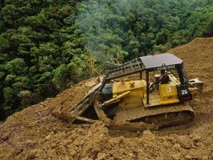 Setiap Tahun Dunia Kehilangan Hutan Hampir Seluas Pulau Jawa
