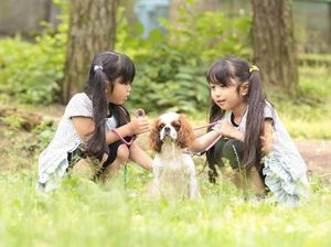 Guk! Guk! Taman Rekreasi Unik di Jepang Menyewakan Anjing