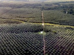 Kolusi HGU dan Politisasi Asing