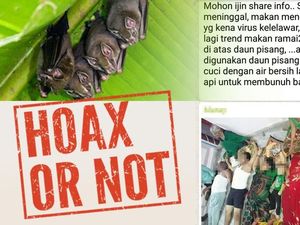 Virus Kelelawar di Daun Pisang Tewaskan Satu Keluarga? Ini Faktanya