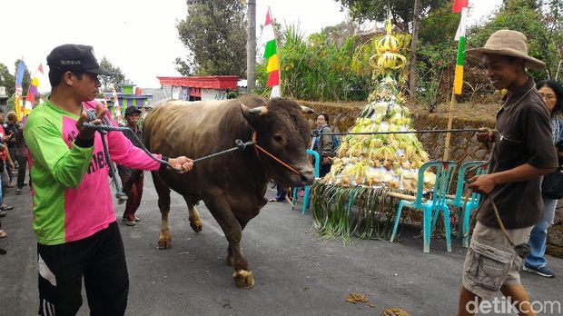 5 Fakta Menarik Kota Boyolali yang Bisa Bunda Beri Tahu ke Anak